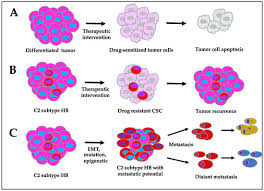 Cancers | Special Issue : Hepatoblastoma and Pediatric Liver Tumors