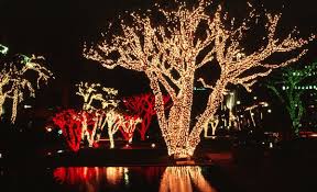 Ask Jason What Are The Best Christmas Lights For Outdoor