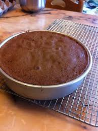 Alice Medrich What I Love About Genoise Cake Recipes With Oil Chocolate Recipes Baking Recipes