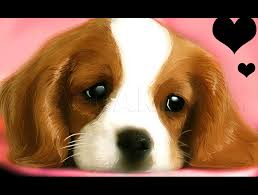 Check spelling or type a new query. How To Draw A Realistic Dog Draw Real Dog Step By Step Drawing Guide By Dawn Dragoart Com