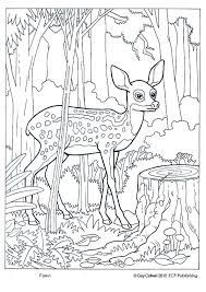 Fawn Coloring Deer Coloring Forest Animals Deer Coloring Pages Animal Coloring Books Animal Coloring Pages