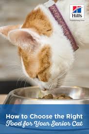 Nutritional Needs Food For Senior Aging Cats Hill S Pet Senior Cat Cats Cat Nutrition