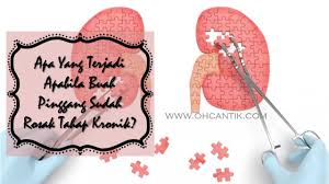Kalau dah sakit, mesti ade sikit sikit simptom dia kan. Buah Pinggang Rosak Tahap Kronik Apa Yang Berlaku Ohcantik Com