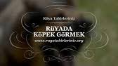 Ruyada Kopek Gormek Youtube