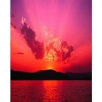 Patricia Lankford Obituary