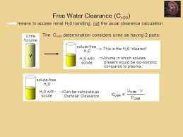 Lecture 5 Regulation Of Sodium And Water Excretion Essentially Same As Regulating Plasma Volume And Osmolarity Ppt Download