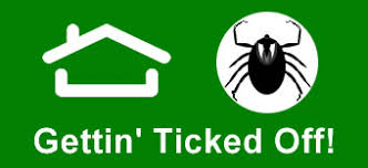Some pests have the power to make you feel itchy just by hearing their name. 87pestspray Bed Bug Heat Treatment Exterminating Tulsa Ok