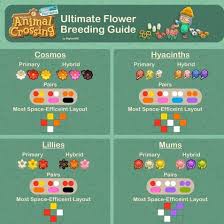 Animal Crossing New Horizons Flower Breeding Guide Animal Crossing Animal Crossing Game Animal Crossing Guide