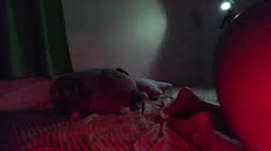 Free Bts Raw Redlight Colombiana Lil Midget: Amateur Porn by FapHouse