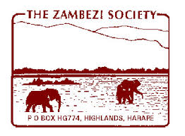 Image result for Ochna rovumensis