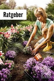 Blumenbeet Anlegen Hornbach In 2020 Blumenbeet Anlegen Blumenbeet Blumen Pflanzen