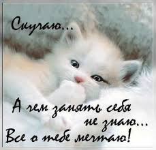 я скучаю по тебе и жду тебя моя малышка Otkrytka Skuchayu Belaya Koshechka Kotenok Ya Skuchayu Po Tebe Kartinka Skuchayu Zhdu Tebya Mne Grustno Bez Tebya Ochen Skuchayu Bez Te Otkrytki Skuchayu Po Tebe Kotenok