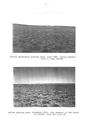 Image result for Cystostemon hispidissimus