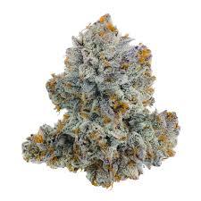 Ruby red strain: Sativa or indica classification
