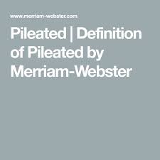 Pileated Definition Of Pileated By Merriam Webster Rhyming Dictionary Definitions Commonly Misspelled Words