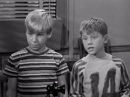 How many of our andy griffith stars can you spot. Andy And Opie S Pal Mayberry Wiki Fandom