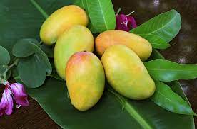 Maybe you would like to learn more about one of these? Best Places To Buy Indian Mangoes In The United States