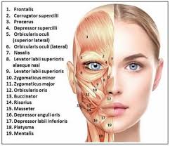 Image result for Botulinum Toxin Injection