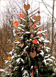 I Ve Always Wanted To Make A Christmas Tree For Our Birds And Squirrels Outdoor Christmas Tree Outdoor Christmas Tree Decorations Christmas Tree Decorations