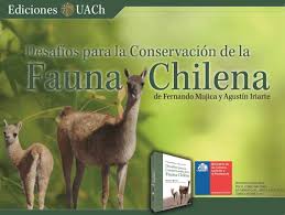 Las últimas noticias del mundo. Libro Sobre Fauna Chilena Expone Los Desafios Para Su Conservacion Noticias Uach