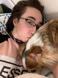 Pet sitting services for elderly dogs