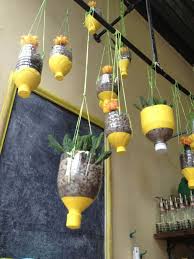 One of the good idea would be string of pearls. 28 Adorable Diy Hanging Planter Ideas To Beautify Your Home Amazing Diy Interior Home Design