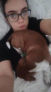 Cute puppy still sits behind neck