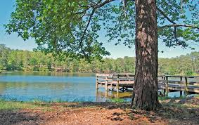 His father was 54 at the time of fdr's birth and already had a grown son, nicknamed rosy. F D Roosevelt State Park Pine Mountain