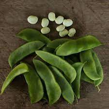 Growing lima beans involves some specific cultural differences from many other beans. Henderson Bush Lima Bean Heirloom 68 Days