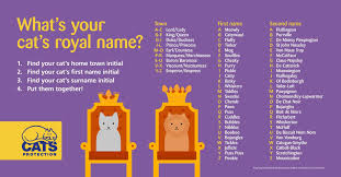 Discover the ethnic origin and meaning of last names. Cats Protection Most Cats Get The Royal Treatment So We Think It S Only Appropriate They Get A Fitting Name Too Find Your Cat S Royal Name With Our Handy Name Generator And