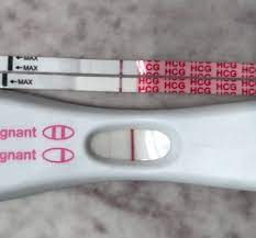 Help Ectopic Chemical Hpts Horrible Progression 4w6d Babycenter