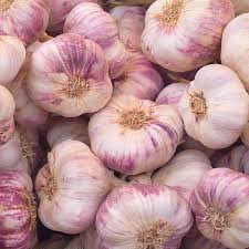 See full list on wikihow.com Growing Garlic Tips Cheats