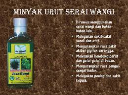 Citronellaoil #serehwangi tanaman serai wangi yang tumbuh subur di indonesia banyak manfaatnya. Minyak Urut Serai Wangi Jasa Bumi Indah Enterprise Facebook