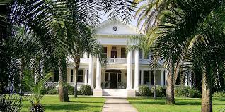 Collection by laurie stein • last updated 2 weeks ago. Why Just Lucky Montana Inkatha Freedom Party