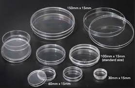 Bahan yang digunakan pun takdalah renyah. Pengertian Cawan Petri Fungsi Penemuan Dan Cara Menggunakan