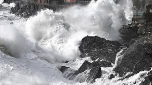 Trend Google: camogli