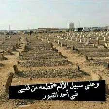 pin by شهرزاد الخليج on حزين nature pictures landscape nature