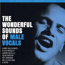 The Wonderful Sounds of Male Vocals (2 LP) från Analogue Productions