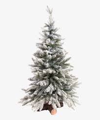 Download transparent christmas tree png for free on pngkey.com. Christmas Tree Snowy 9 Ft Flocked Christmas Tree Png Image Transparent Png Free Download On Seekpng
