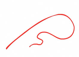 Wavy, zigzag, straight, loopy, dotted, dashed, etc. Line The Elements Of Art