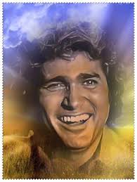 26 Michael landon ideas