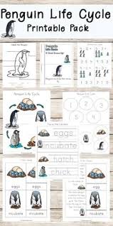 Penguin Life Cycle Worksheets Penguin Life Cycle Life Cycles Preschool Penguin Life