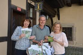 Einjährige Blumenwiese hilft den nützlichen Insekten: In Roth kann jetzt  jeder den Bienen etwas Gutes tun!