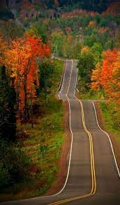 I Don T Know Where This Is But I D Sure Like To Drive It Beautiful Roads Scenery Scenic