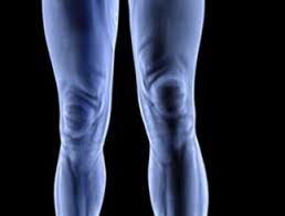 9:20 regenere / thierry tendinite rotulienne (du genou) : Douleurs Du Genou Symptomes Traitement Definition Docteurclic Com