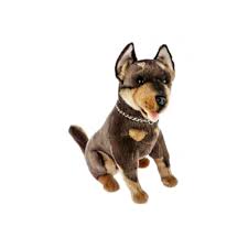 Coffee machine brands australian kelpie puppies houston. Basil Starts At 60