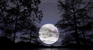 Meski demikian, tak sedikit orang yang tidak mengetahui tentang lailatul qadar dan apa saja ciri maupun tanda turunnya malam yang sangat mulia ini. Inilah Tanda Tanda Kehadiran Malam Lailatul Qadar Roket Pulsa