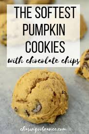 The Softest Pumpkin Cookies With Chocolate Chips In 2020 Pumpkin Chocolate Chip Cookies Soft Pumpkin Cookies Chocolate Chip Cookies