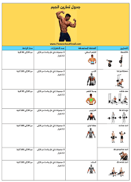 جدول تمارين كمال الاجسام للمبتدئين بالصور كامل Workout For Beginners Workout Fitness