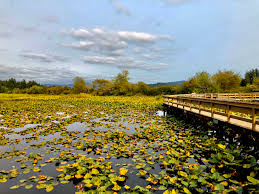Seaquest State Park Silver Lake Washington Trails Association